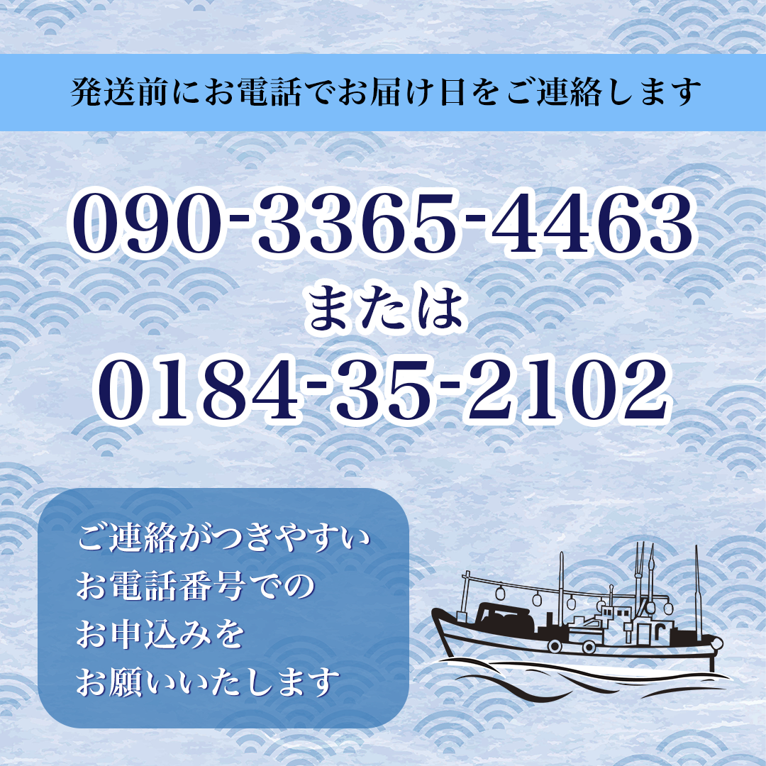 鮮魚 冷蔵 クール便「 開けたらすぐ食べられる下処理済み 海産物 2～3人前 セット 」さとう鮮魚店【 パック 詰め合わせ 海鮮セット 鮮魚ボックス 海鮮 海の幸 魚介 魚介類 刺身 切り身  秋田県 にかほ 】
