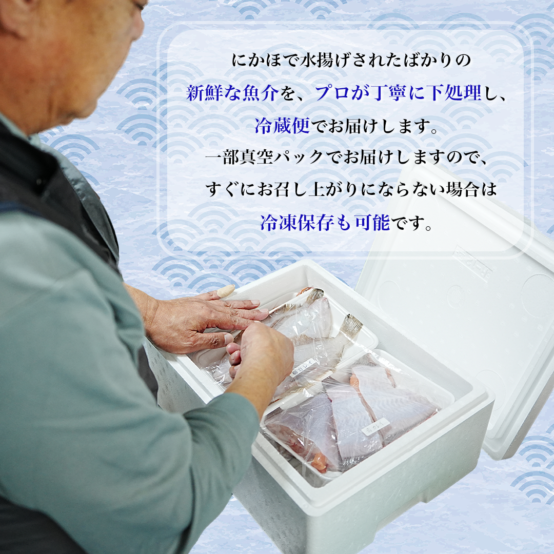鮮魚 冷蔵 クール便「 開けたらすぐ食べられる下処理済み 海産物 2～3人前 セット 」さとう鮮魚店【 パック 詰め合わせ 海鮮セット 鮮魚ボックス 海鮮 海の幸 魚介 魚介類 刺身 切り身  秋田県 にかほ 】