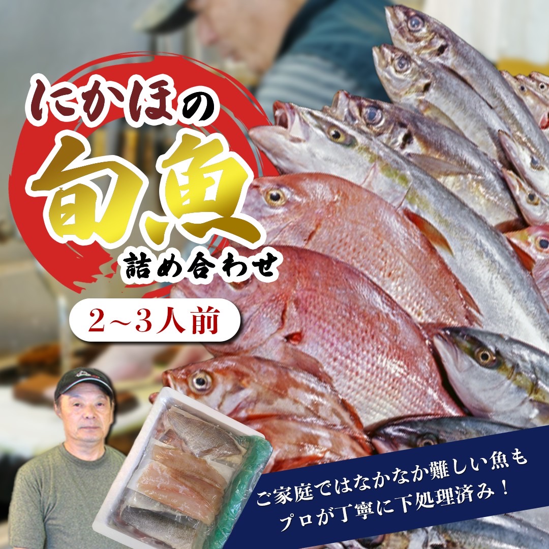 鮮魚 冷蔵 クール便「 開けたらすぐ食べられる下処理済み 海産物 2～3人前 セット 」佐藤鮮魚店【 パック 詰め合わせ 海鮮セット 鮮魚ボックス 海鮮 海の幸 魚介 魚介類 刺身 切り身  秋田県 にかほ 】