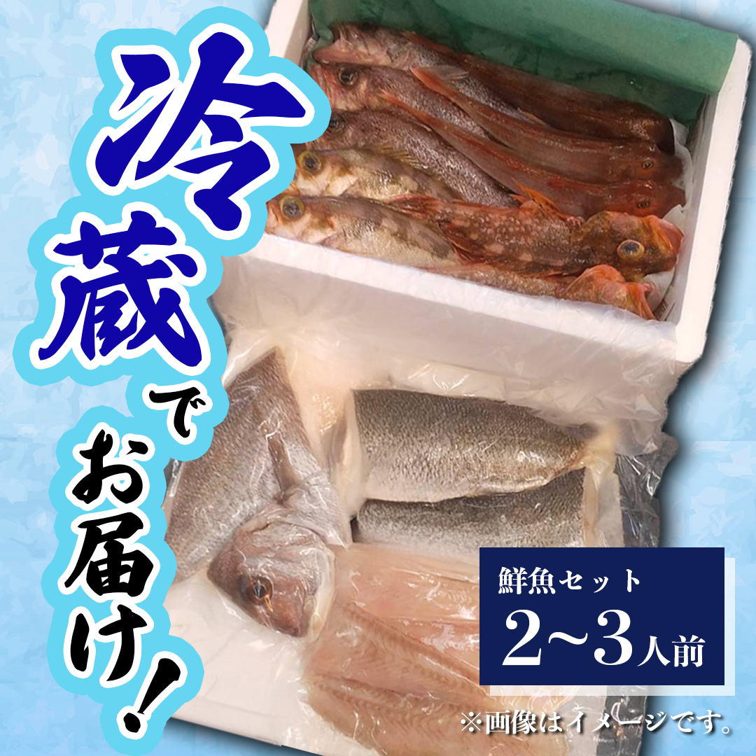鮮魚 冷蔵 クール便「 開けたらすぐ食べられる下処理済み 海産物 2～3人前 セット 」佐藤鮮魚店【 パック 詰め合わせ 海鮮セット 鮮魚ボックス 海鮮 海の幸 魚介 魚介類 刺身 切り身  秋田県 にかほ 】