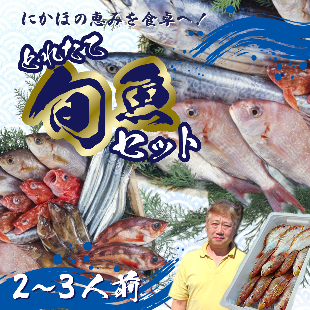 鮮魚 冷蔵 クール便「 開けたらすぐ食べられる下処理済み 海産物 2～3人前 セット 」みずしまや【 パック 詰め合わせ 海鮮セット 鮮魚ボックス 海鮮 海の幸 魚介 魚介類 刺身 切り身  秋田県 にかほ 】 