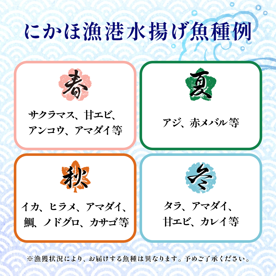 鮮魚 冷蔵 クール便「 開けたらすぐ食べられる下処理済み 海産物 2～3人前 セット 」みずしまや【 パック 詰め合わせ 海鮮セット 鮮魚ボックス 海鮮 海の幸 魚介 魚介類 刺身 切り身  秋田県 にかほ 】 