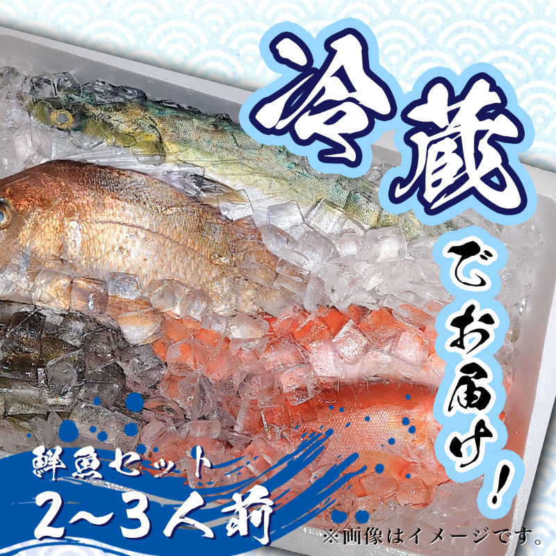 鮮魚 冷蔵 クール便「 開けたらすぐ食べられる下処理済み 海産物 2～3人前 セット 」みずしまや【 パック 詰め合わせ 海鮮セット 鮮魚ボックス 海鮮 海の幸 魚介 魚介類 刺身 切り身  秋田県 にかほ 】 