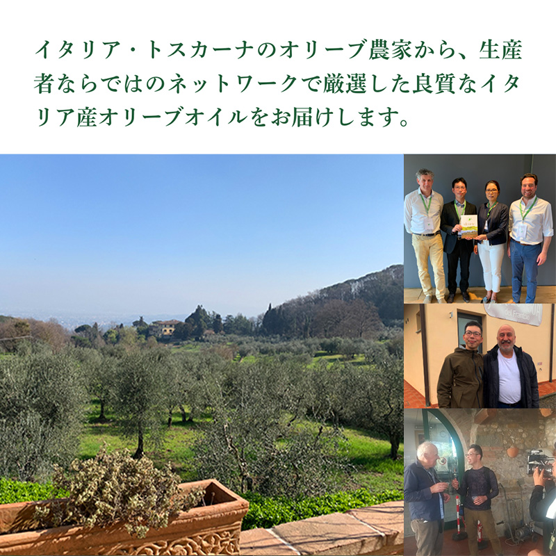 有機栽培 朝摘み シチリア産 エキストラバージン オリーブ オイル 6本セット 1月 オーガニック 調味料 油 オリーブ油 食用油 ギフト 袋井市 静岡県