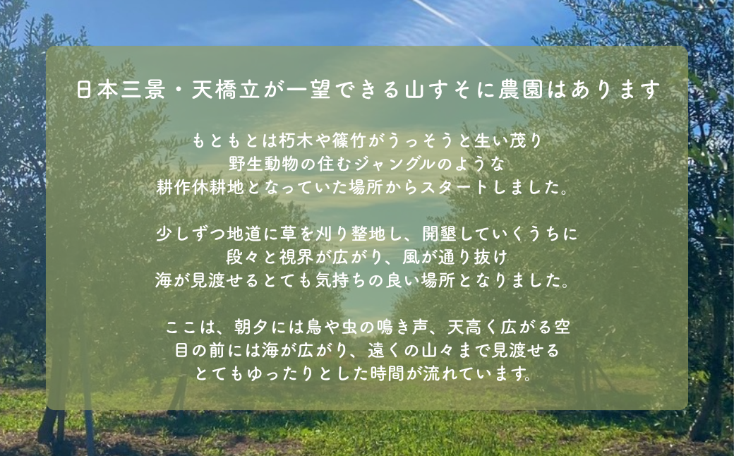 オリーブオイル 100g MAEDA OLIVE FARM 京都宮津産 100%