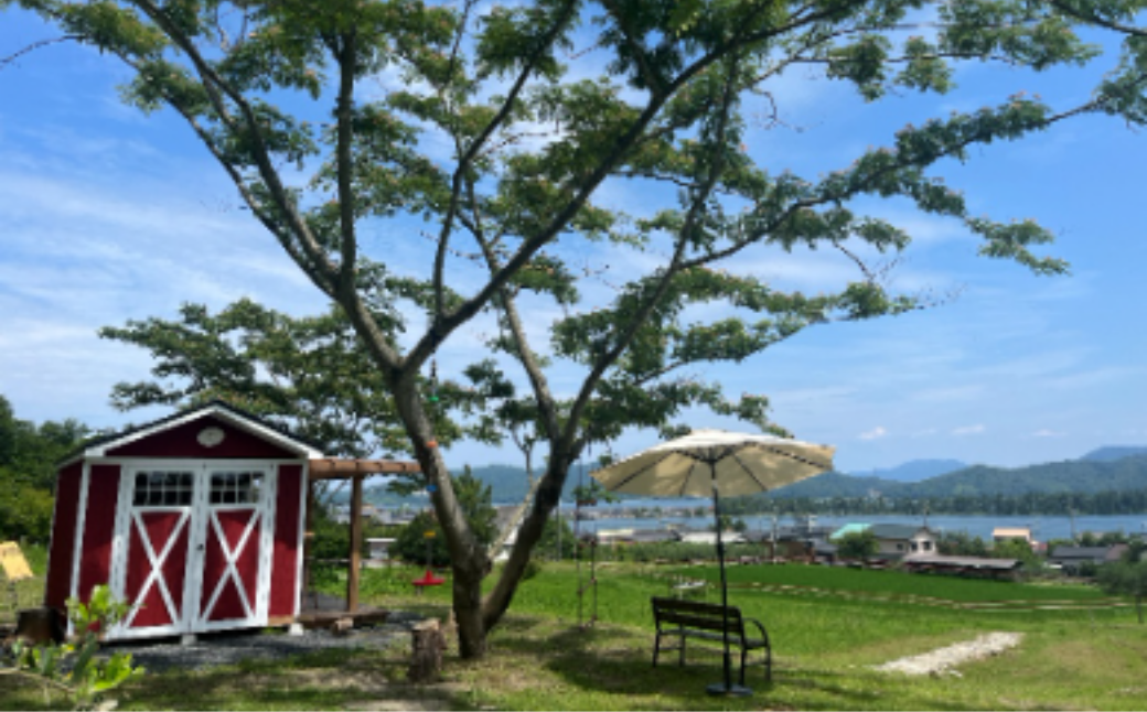 オリーブオイル 100g MAEDA OLIVE FARM 京都宮津産 100%