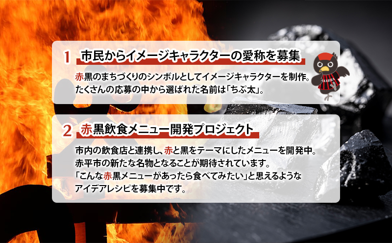 北海道 赤平市 寄附のみの応援受付 25,000円コース（返礼品なし 寄附のみ 25000円）