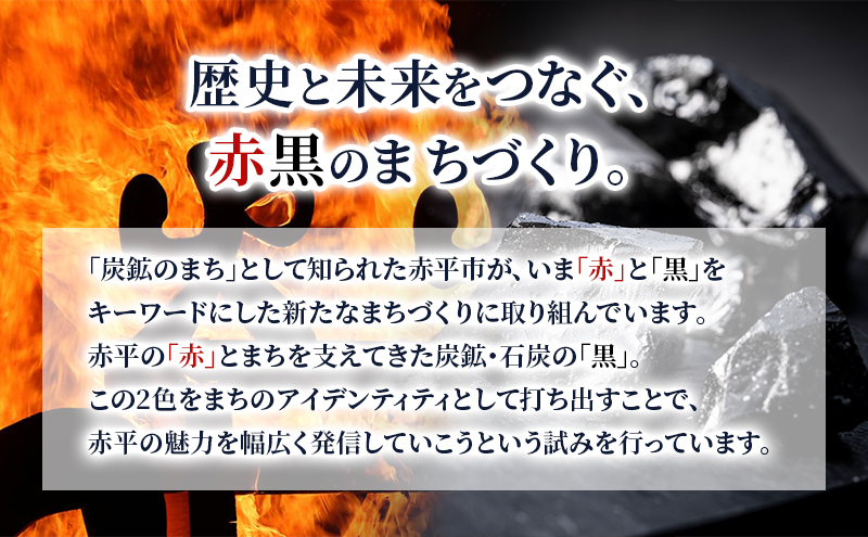 北海道 赤平市 寄附のみの応援受付 45,000円コース（返礼品なし 寄附のみ 45000円）