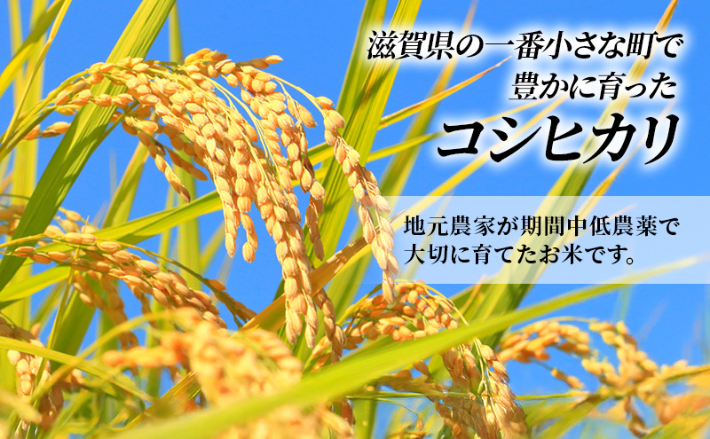 滋賀県豊郷町のふるさと納税 【12月～1月までの限定寄附額】 令和7年産新米 コシヒカリ　無洗米　5kg