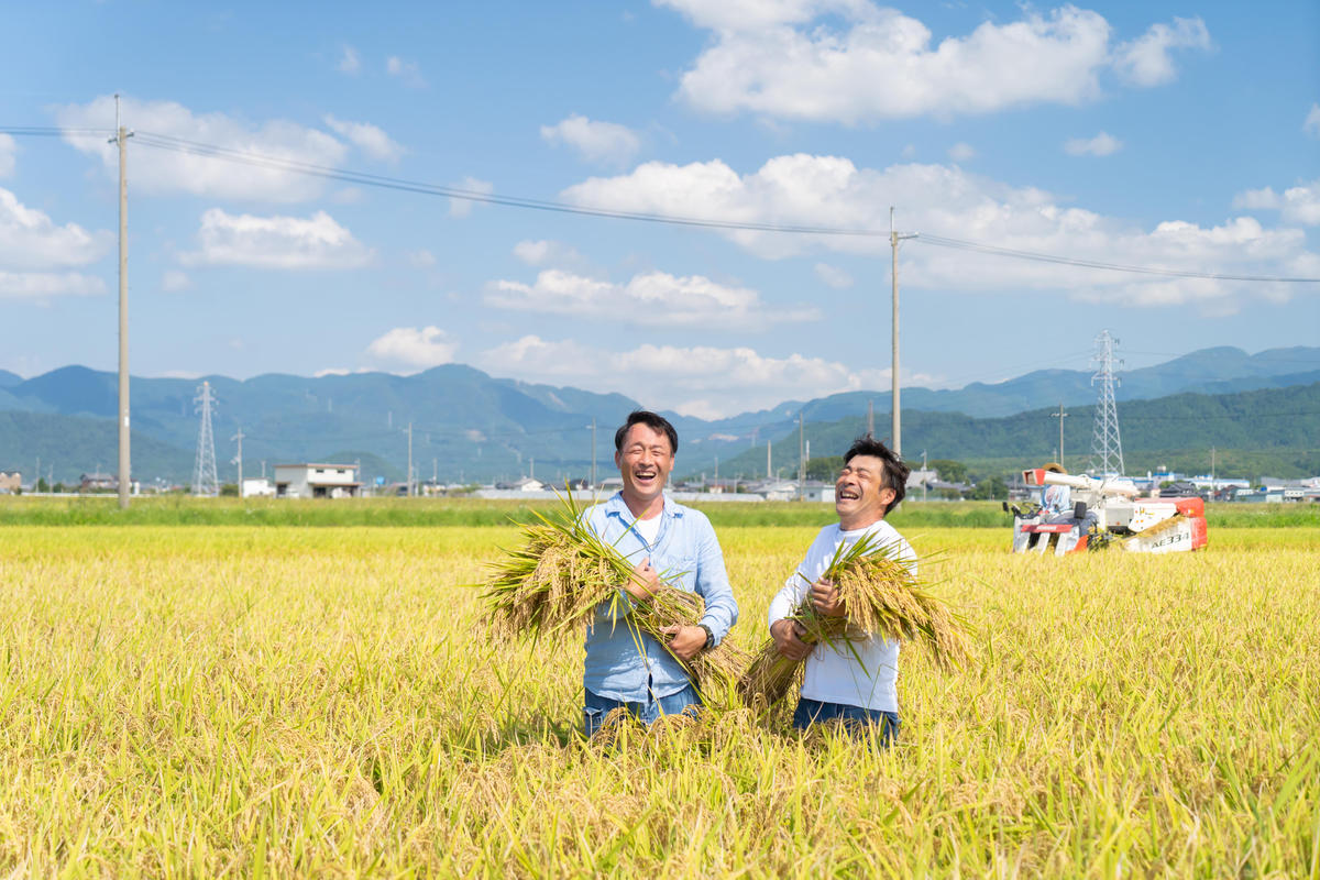 滋賀県豊郷町のふるさと納税 【12月～1月までの限定寄附額】 令和7年産新米 コシヒカリ　無洗米　5kg