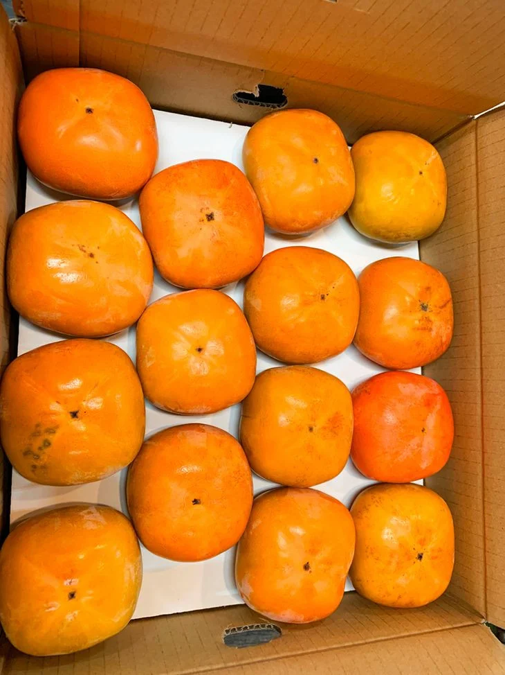 【2026年先行予約】和歌山秋の味覚 平核無柿（ひらたねなしがき）約7.5kg