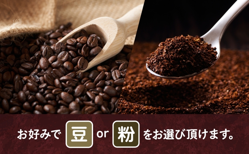 豆 粉 選べる 木炭焙煎珈琲 3種 600g＆ドリップバッグ 20個 セット ドリップコーヒー 木炭焙煎珈琲 おうちカフェ 黒ねこブレンド 豆ねこ 深煎り 中煎りロースト ブレンド マイルド 本格 焙煎 リラックス コーヒー豆と雑貨の店豆ねこ 鳩山町