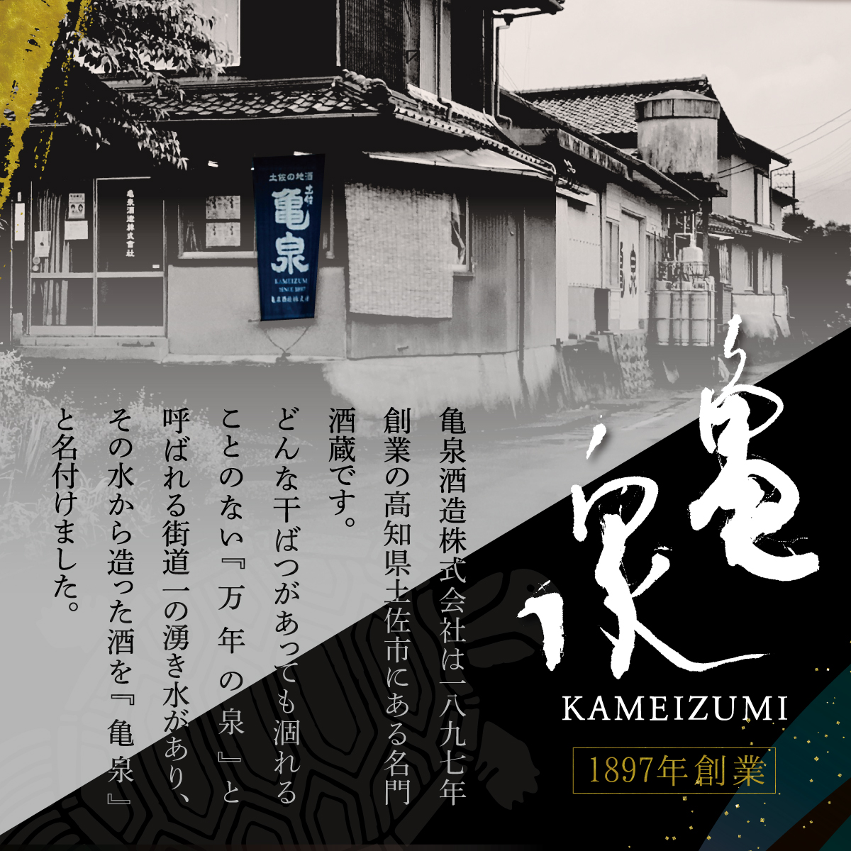【先行予約】　純米吟醸原酒 高育63号 1800ml(火入) 日本酒 お酒 酒 純米吟醸 やや辛口 アルコール度数16.5度 一升瓶 亀泉酒造 お取り寄せ ご当地 地酒 美味しい おいしい 冷蔵 配送