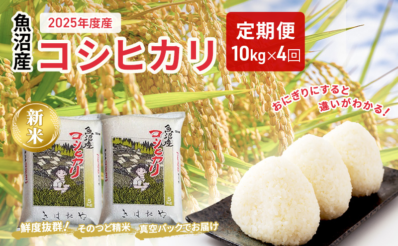 魚沼産コシヒカリ特上米10kg(5kg×2)×4回定期便(隔月) | とおかMATCH