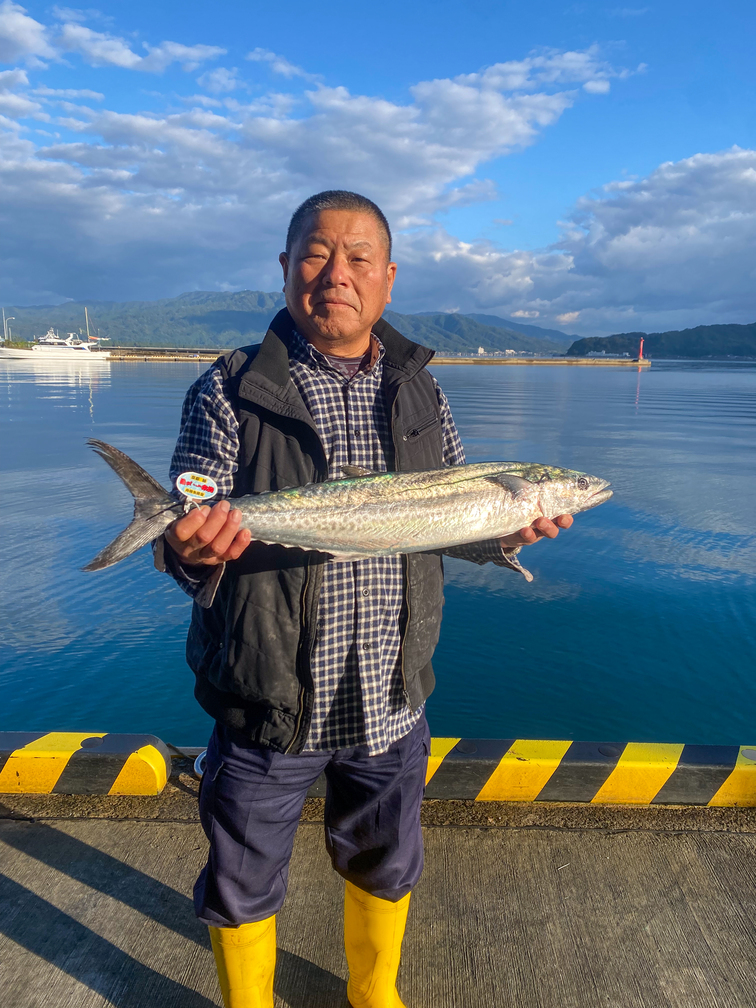 一本釣「特選船上活〆サワラ」京都宮津