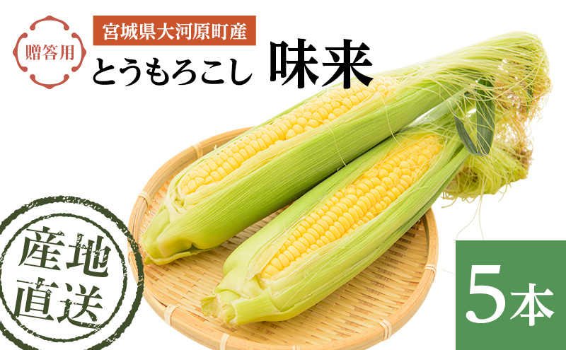 とうもろこし 味来 贈答用 5本 トウモロコシ 宮城県産 甘い 夏 朝採れ 産地直送 宮城県 大河原町