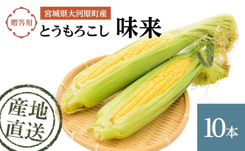とうもろこし 味来 贈答用 10本 トウモロコシ 宮城県産 甘い 夏 朝採れ 産地直送 宮城県 大河原町