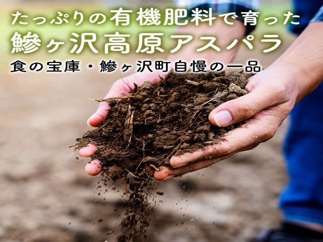 先行予約 岩木山高原 アスパラガス 約1.5kg 2L厳選 5月6月発送 アスパラ 野菜 旬の野菜 産地直送 季節の野菜 春野菜 青森 青森県 鰺ヶ沢町