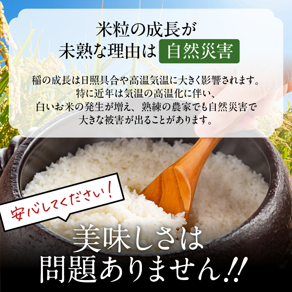 12-296 【年内配送12月15日入金まで】訳あり 北海道ブレンド米5kg within2025