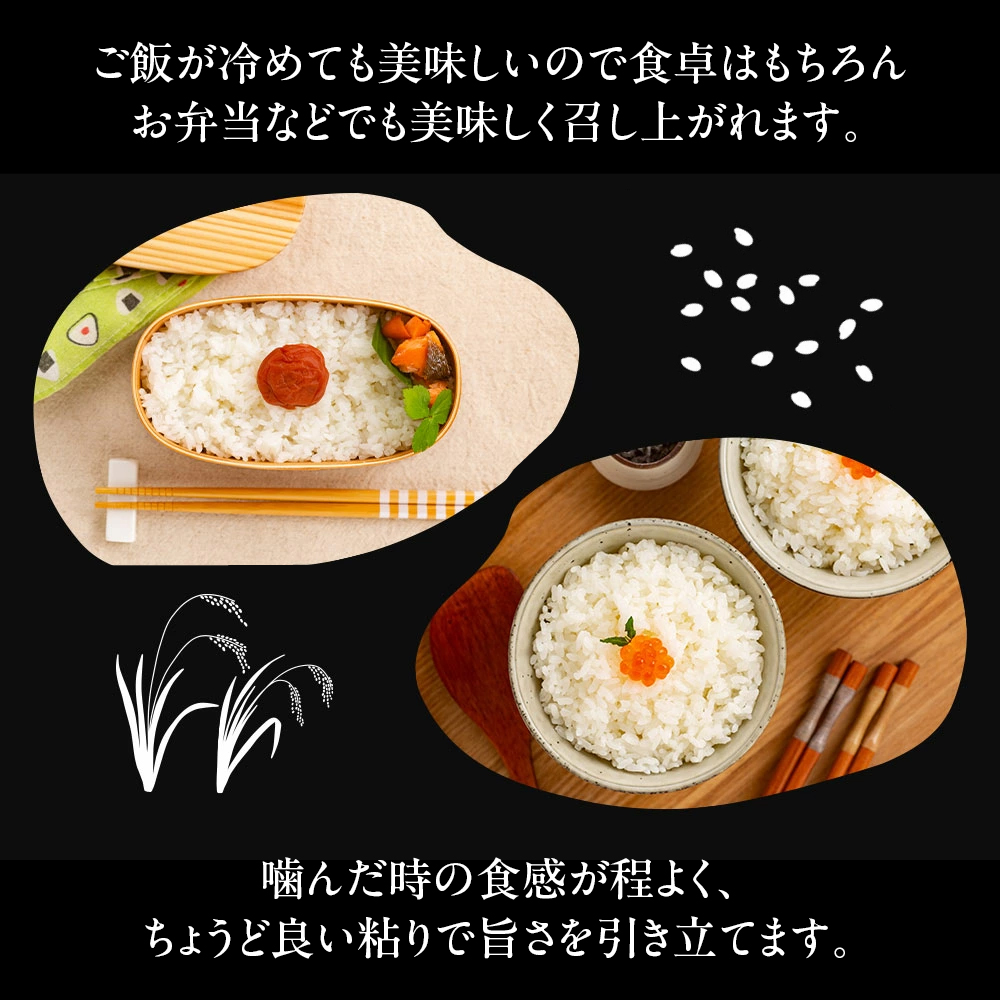 15-350 【年内配送12月15日入金まで】北海道産ななつぼし5kg within2025