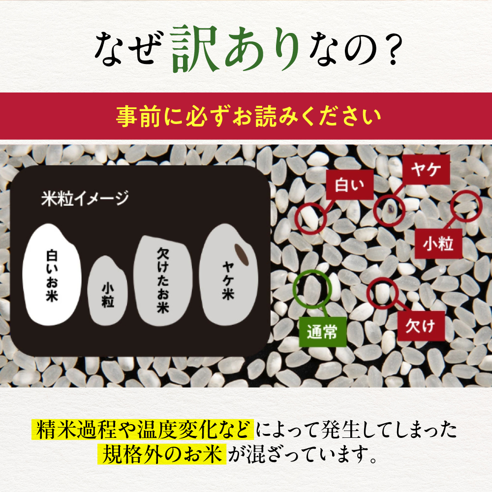 21-68 【年内配送12月15日入金まで】訳あり 北海道ブレンド米10kg（5kg×2） within2025