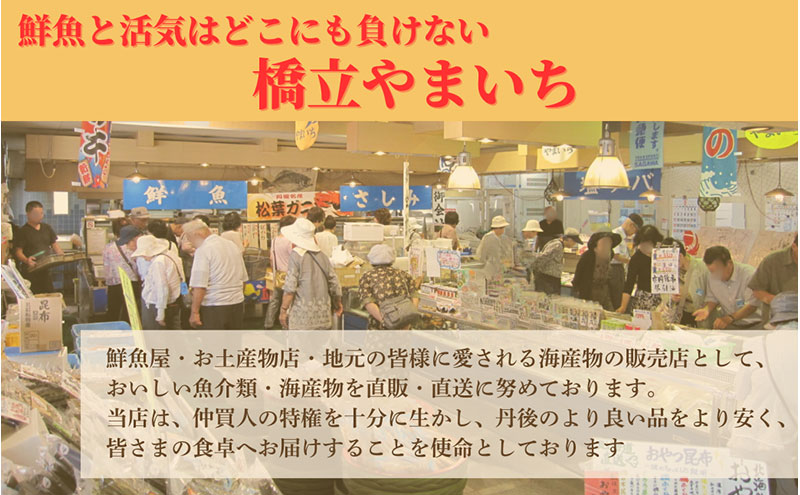橋立やまいち自慢の魚のつみれ 1パックセット（冷蔵）300g つみれ 魚 鍋 京都府 宮津市
