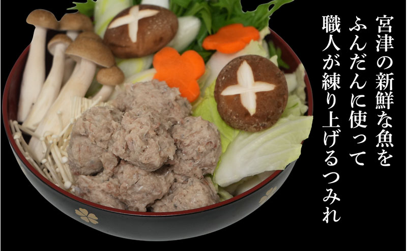 橋立やまいち自慢の魚のつみれ 2パックセット（冷蔵）600g つみれ 魚 鍋 京都府 宮津市
