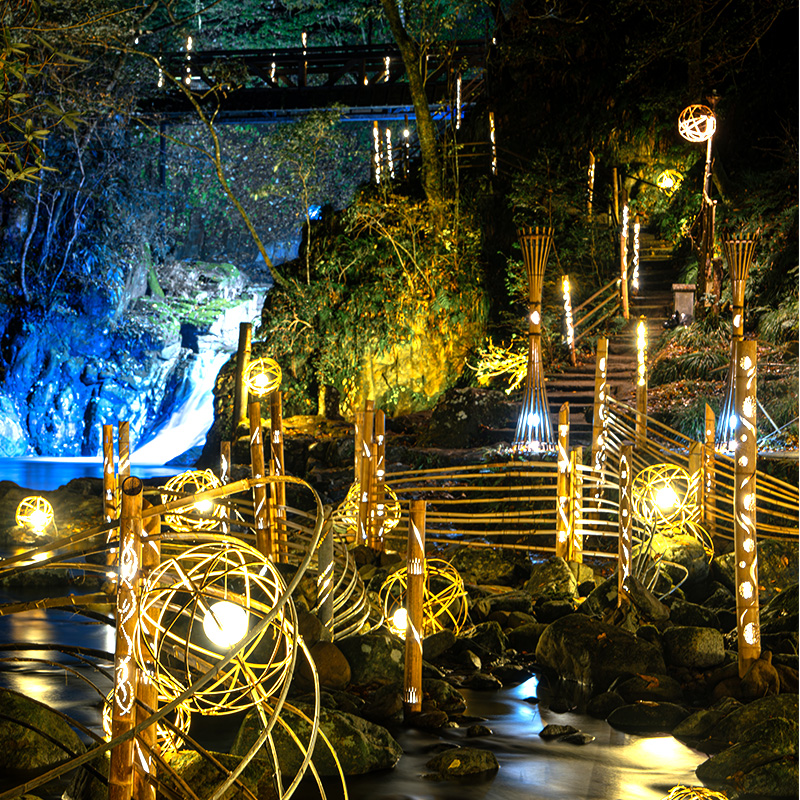 【光と水の幻想体験】滝あかりライトアップも楽しめる、赤目四十八滝招待券（3名様）| チケット 券 お出かけ ライトアップ 体験