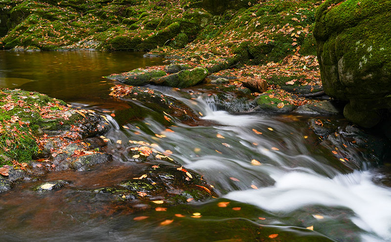 【光と水の幻想体験】赤目四十八滝招待券（4名様）| チケット 券 お出かけ 体験
