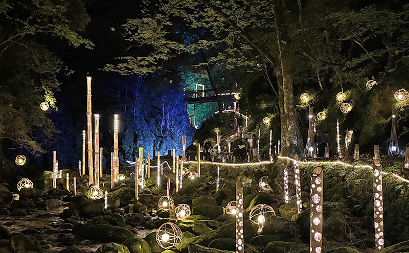 【光と水の幻想体験】滝あかりライトアップも楽しめる、赤目四十八滝招待券（1名様）| チケット 券 お出かけ ライトアップ 体験