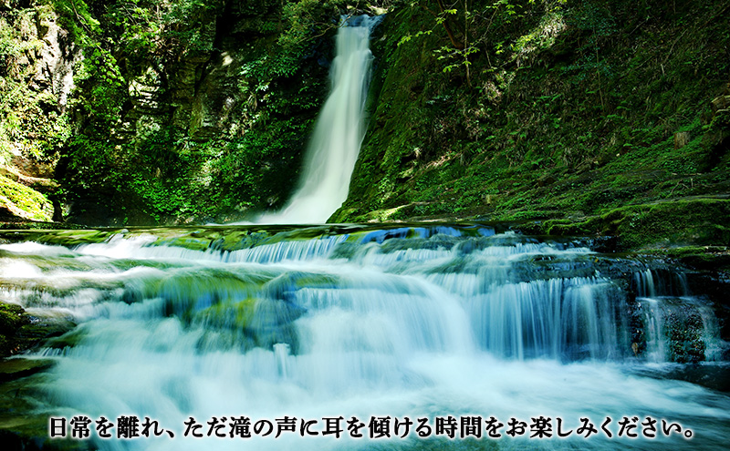 【光と水の幻想体験】滝あかりライトアップも楽しめる、赤目四十八滝招待券（1名様）| チケット 券 お出かけ ライトアップ 体験