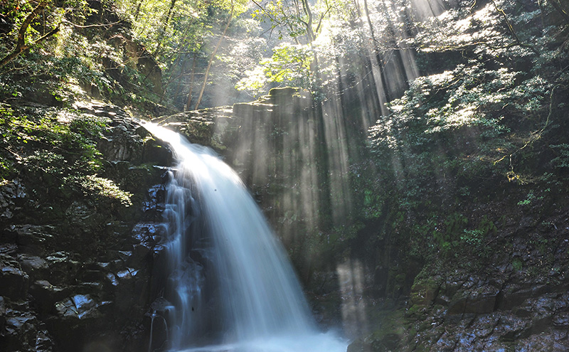 【光と水の幻想体験】滝あかりライトアップも楽しめる、赤目四十八滝招待券（2名様）| チケット 券 お出かけ ライトアップ 体験