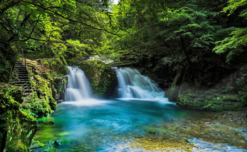 【光と水の幻想体験】滝あかりライトアップも楽しめる、赤目四十八滝招待券（2名様）| チケット 券 お出かけ ライトアップ 体験