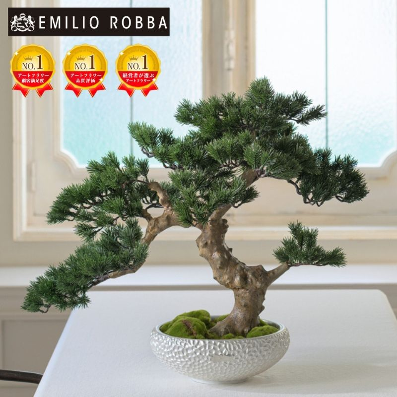 �y�O�d�������s�z�A�[�g�t�����[ �G�~���I�E���o�@�~�́@TUTTA30500