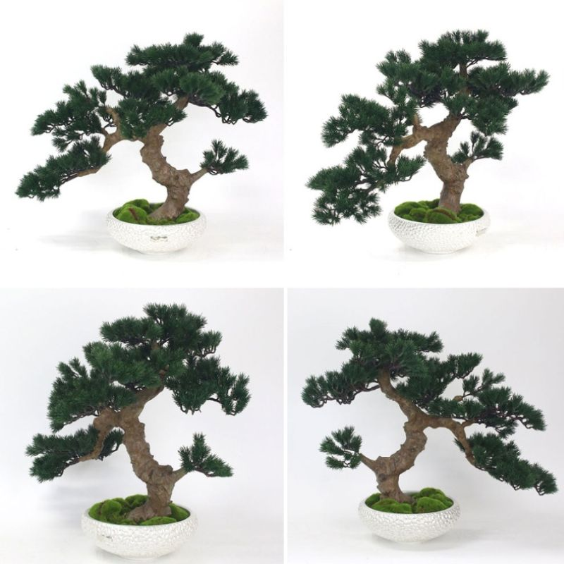 アートフラワー エミリオ・ロバ　盆栽　TUTTA30500