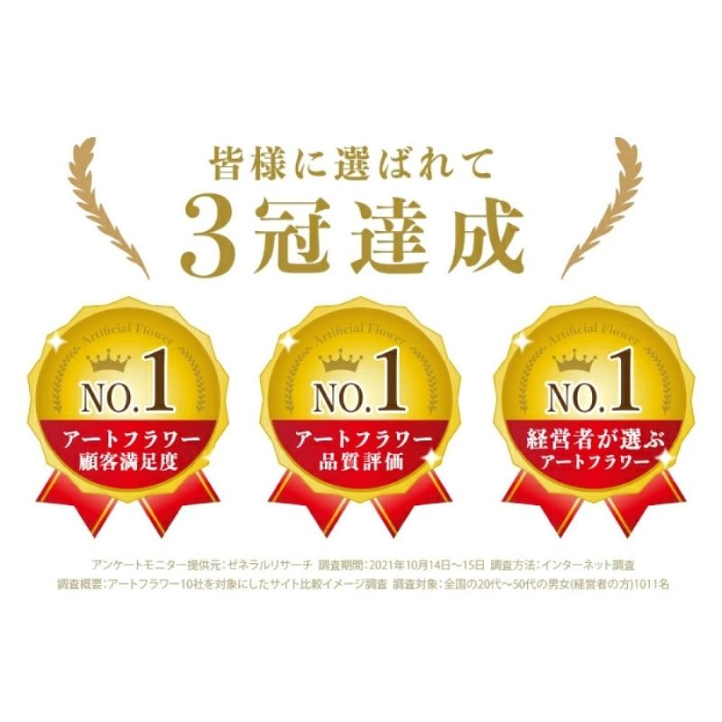 アートフラワー エミリオ・ロバ　盆栽　TUTTA30500