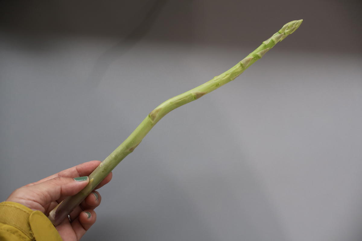 （訳アリ）小豆島産アスパラガス「さぬきのめざめ」M、L、2L混合1kg