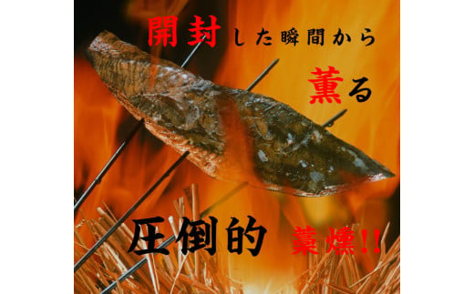 <定期便6回コース>かつおのたたき 訳あり 2.5kg かつお カツオ 鰹 タレ付き かつおたたき 鰹のたたき 訳アリ 定期便 6回 不揃い 規格外 鰹 刺身 刺し身 さしみ 海鮮 藁焼き 数ブロックに小分け