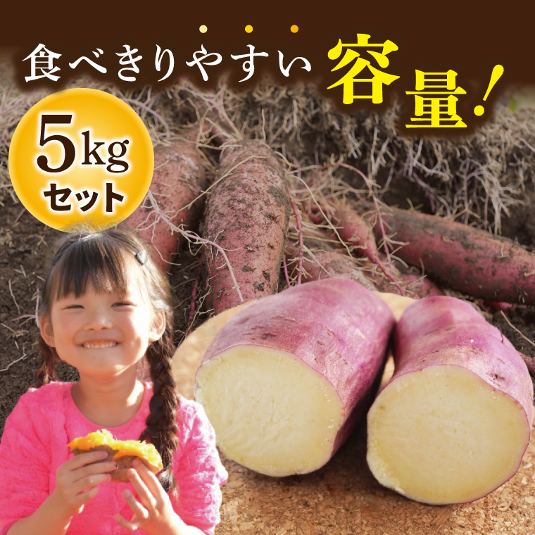 【大子町産】熟成さつまいも すずほっくり 5kg｜茨城県 大子町 サツマイモ 芋 甘い ホクホク 野菜 数量限定 希少品種（CH005）