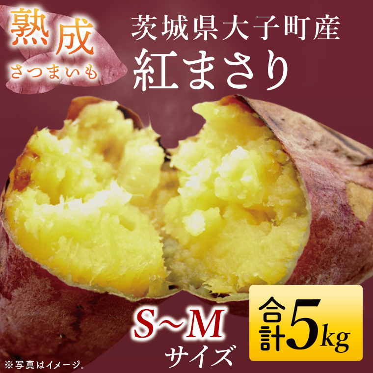 y錧qzyqYzn܂ ׂɂ܂ 5kgb錧 q Tc}C g܂  Â zNzN  ʌ iCH006j