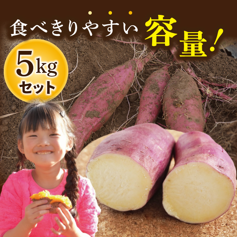 【大子町産】熟成さつまいも べにまさり 5kg｜茨城県 大子町 サツマイモ 紅まさり 芋 甘い ホクホク 野菜 数量限定 （CH006）
