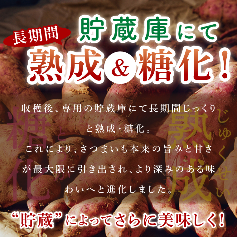 【大子町産】熟成さつまいも べにまさり 5kg｜茨城県 大子町 サツマイモ 紅まさり 芋 甘い ホクホク 野菜 数量限定 （CH006）