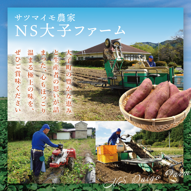 【大子町産】熟成さつまいも べにまさり 5kg｜茨城県 大子町 サツマイモ 紅まさり 芋 甘い ホクホク 野菜 数量限定 （CH006）