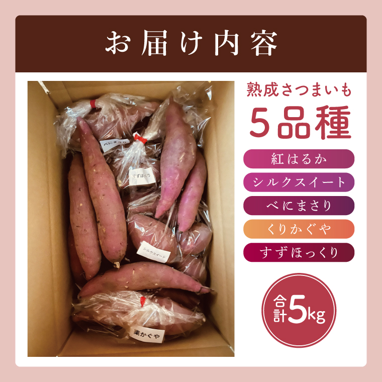 【大子町産】熟成さつまいも 5種食べ比べセット 合計5kg 詰め合わせ（紅はるか・シルクスイート・くりかがや・すずほっくり・べにまさり） ｜ 茨城県 大子町 サツマイモ 焼き芋 ホクホク 野菜 数量限定 （CH007）