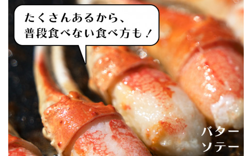【12月25日決済確定分まで年内発送】 ボイル 本ずわいがに 爪 500g×1 カジマ ずわい蟹 ズワイガニ ずわいがに かに カニ 蟹 かに爪 カニ爪