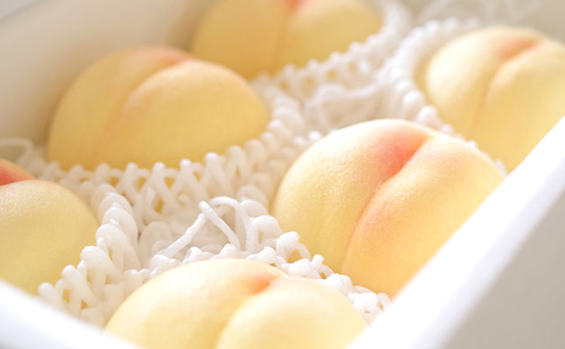 桃 2026年 先行予約 岡山の白桃 3玉 約1kg 贈答用 もも モモ 白桃 岡山白桃 岡山県産 国産 フルーツ 果物 ギフト 贈り物 横木農園 スイーツ