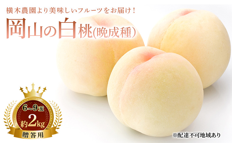 桃 2026年 先行予約 岡山の白桃 （晩成種）6～9玉 約2kg 贈答用 もも モモ 白桃 岡山白桃 岡山県産 国産 フルーツ 果物 ギフト 贈り物 横木農園 スイーツ
