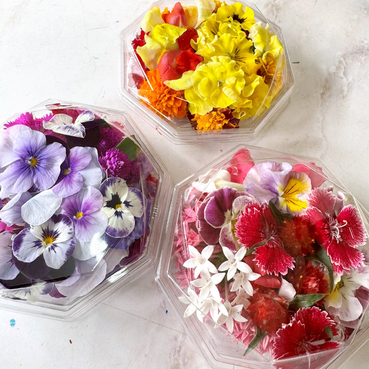 農家直送！加藤さんちのエディブルフラワー 5パック (1パックあたり