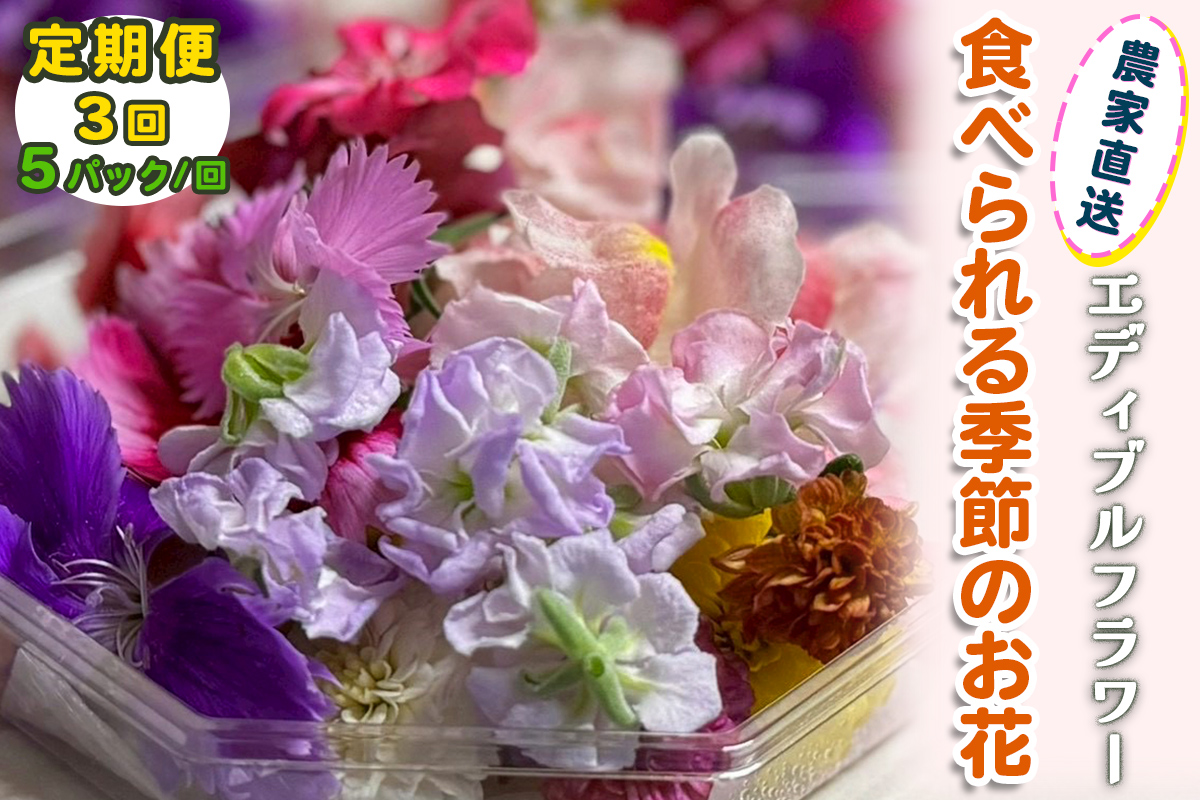 花便 定期便3回] 農家直送！加藤さんちのエディブルフラワー 5パック (1
