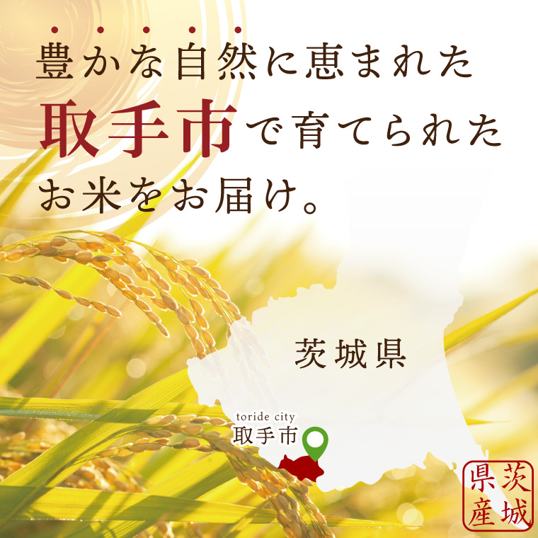 【数量限定】R7年産取手市産あきたこまち 精米5kg|お米 米 新米 白米 茨城県 取手市（BS011）